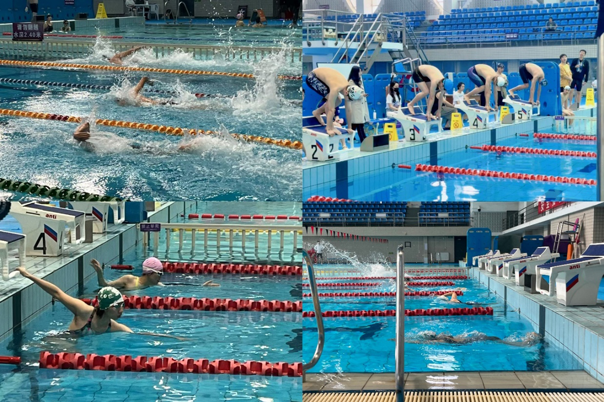 20250427-2025年春季学期华体会娱乐平台研究生游泳联赛-拼图-1.jpg