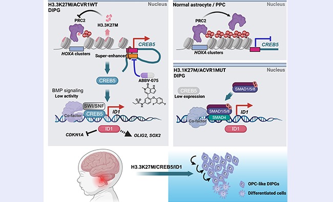 空白背景new1 - 副本.jpg