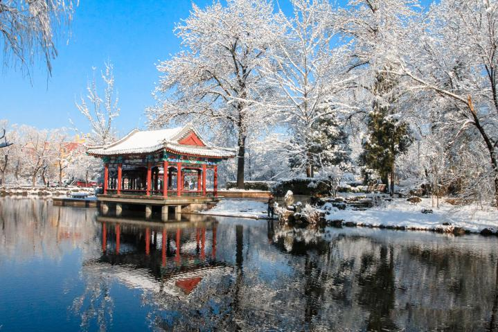 20250423-114 周年校庆|华体会娱乐平台离退休教职工书画作品展和摄影作品展开幕-段鸿杰-作品名称:《校园雪韵》作者:费润升.png