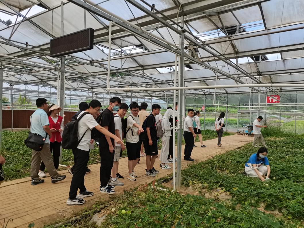 20220808-0814-华体会娱乐平台“林枫计划”师生赴江西赣县区调研实践-马小涵摄-支队师生参观五云镇夏潭村蔬菜研学基地.jpg