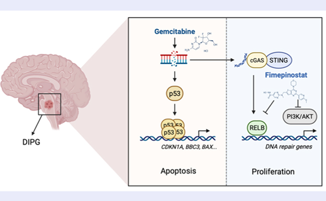 空白背景new - 副本.jpg
