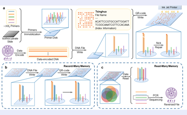 空白背景new1 - 副本.jpg