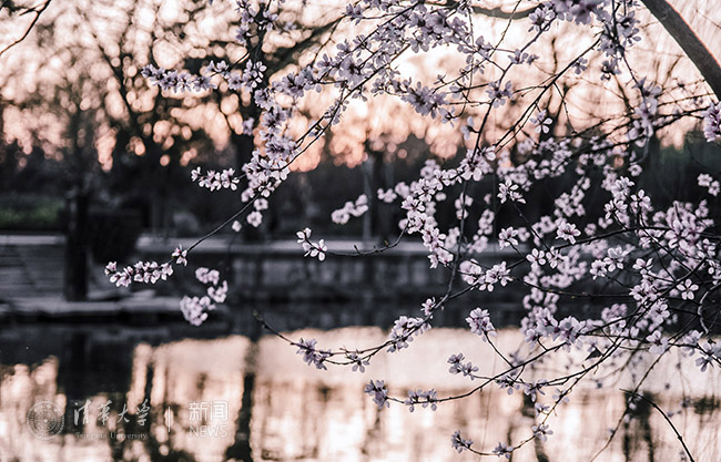 刘传 荷塘之春:桃之夭?¤?灼灼其华.jpg